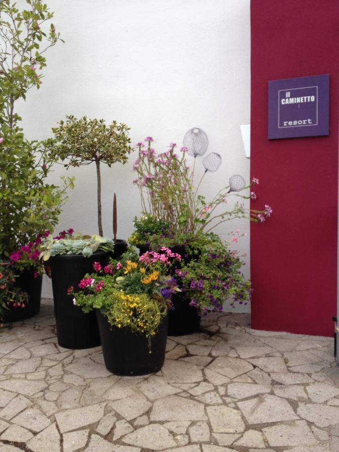 Il Caminetto Montefiascone Hotel ภายนอก รูปภาพ